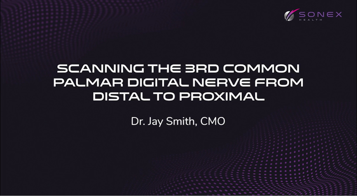 Identifying the 3rd Common Palmar Digital Nerve Using Ultrasound